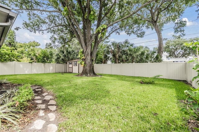 view of yard with a shed