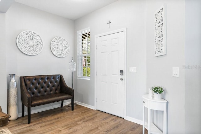 entrance foyer with hardwood / wood-style floors