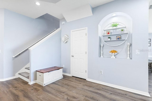 foyer entrance featuring dark hardwood / wood-style flooring