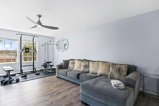 living room featuring ceiling fan and hardwood / wood-style floors