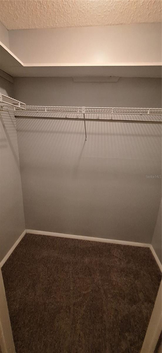 spacious closet featuring carpet