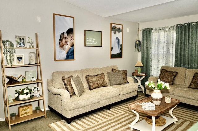 living room with carpet flooring