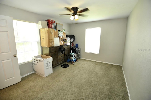 office space with ceiling fan and light carpet