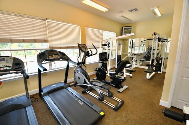 exercise room with a wealth of natural light