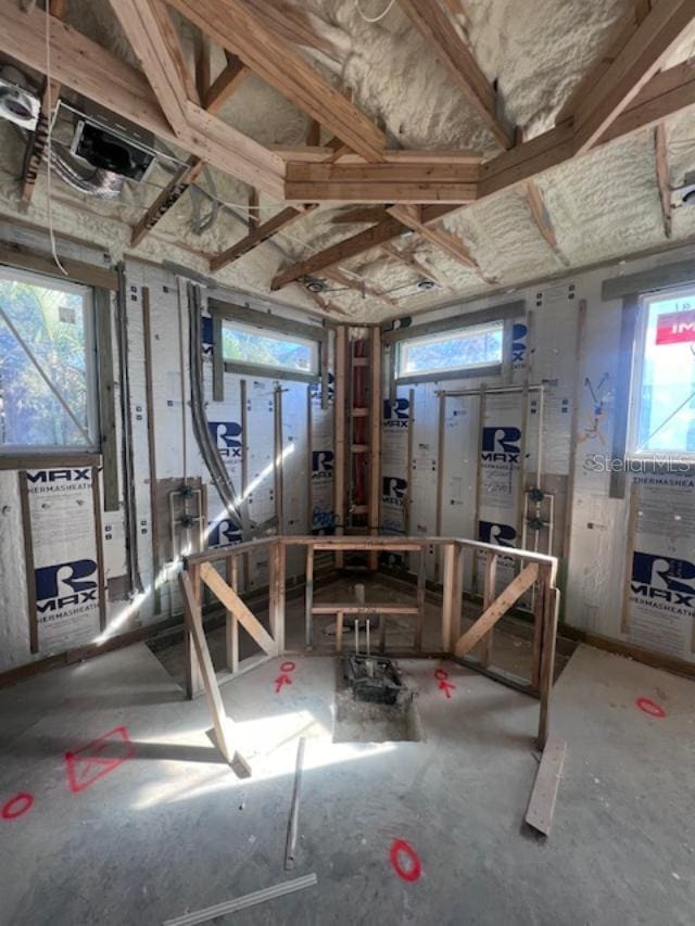 basement featuring plenty of natural light