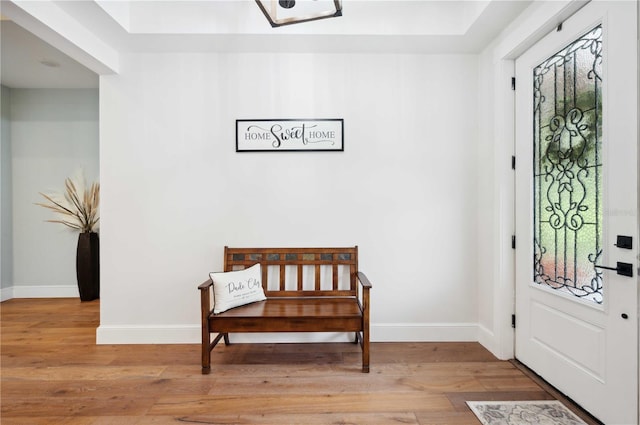 entryway with a healthy amount of sunlight and light wood-type flooring