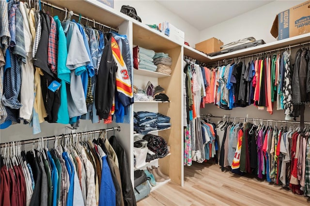 walk in closet with wood-type flooring