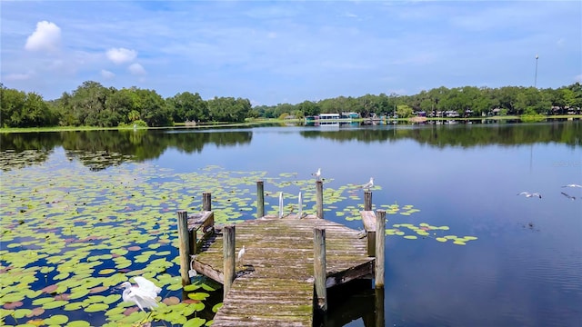 view of dock featuring a water view