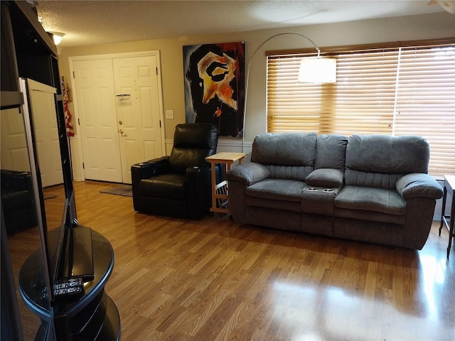 living room featuring a textured ceiling, hardwood / wood-style floors, and a wealth of natural light