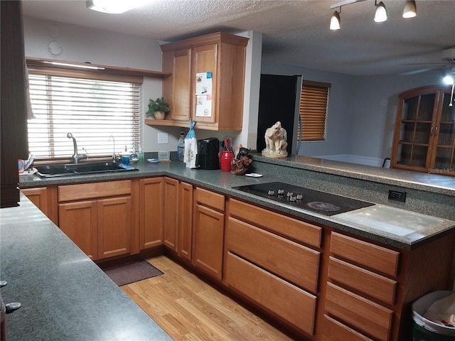 kitchen featuring a textured ceiling, light hardwood / wood-style floors, sink, and black electric stovetop