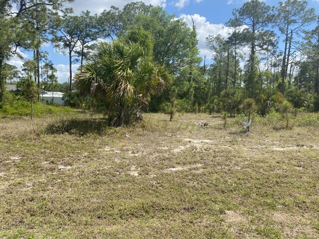 8014 Sandalwood Cir, Labelle, FL 33935 - photo 1