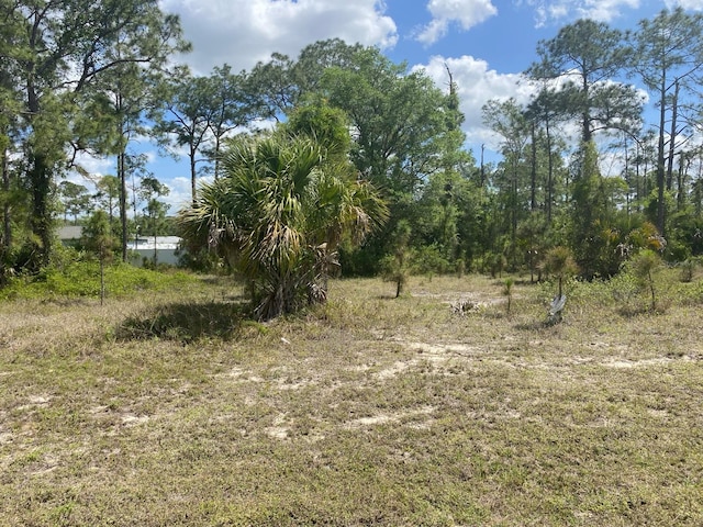 8014 Sandalwood Cir, Labelle, FL 33935 - photo 2