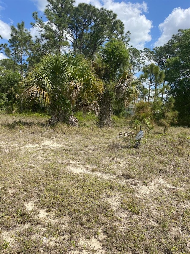 8014 Sandalwood Cir, Labelle, FL 33935 - photo 3