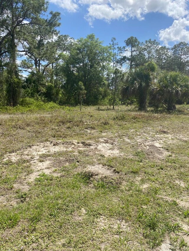 8014 Sandalwood Cir, Labelle, FL 33935 - photo 4