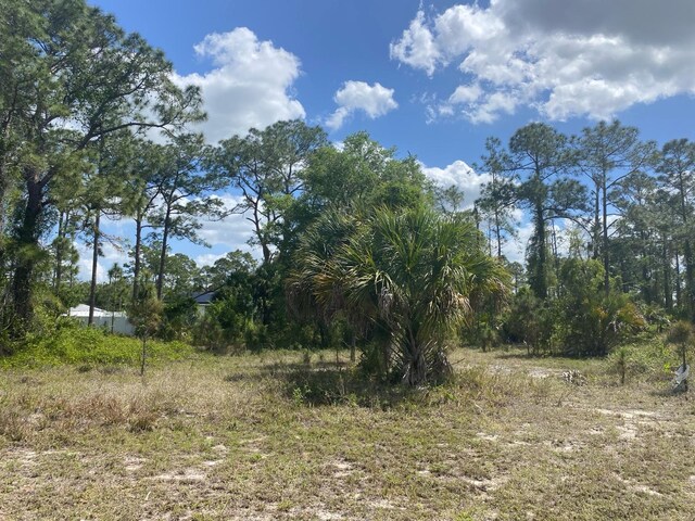 8014 Sandalwood Cir, Labelle, FL 33935 - photo 5