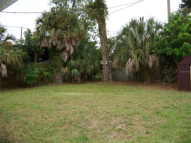 view of yard with a storage unit