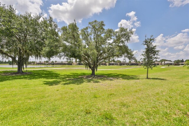 view of community featuring a lawn