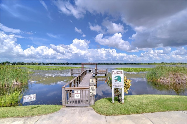 dock area with a water view