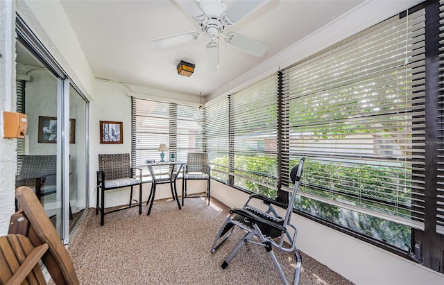 home office with carpet floors, a healthy amount of sunlight, and ceiling fan