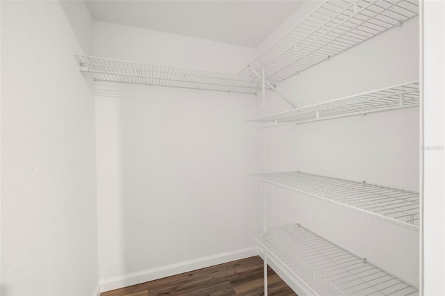 walk in closet featuring dark hardwood / wood-style floors