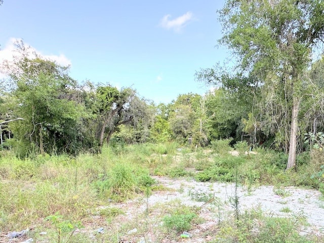 12219 Elkton Ave, Hudson FL, 34667 land for sale