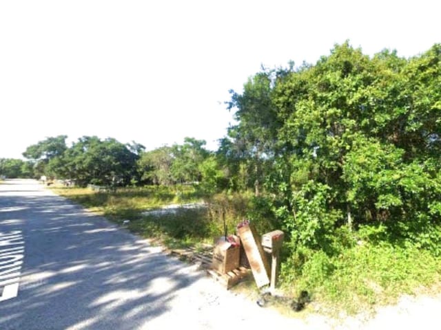 12219 Elkton Ave, Hudson, FL 34667 - photo 2