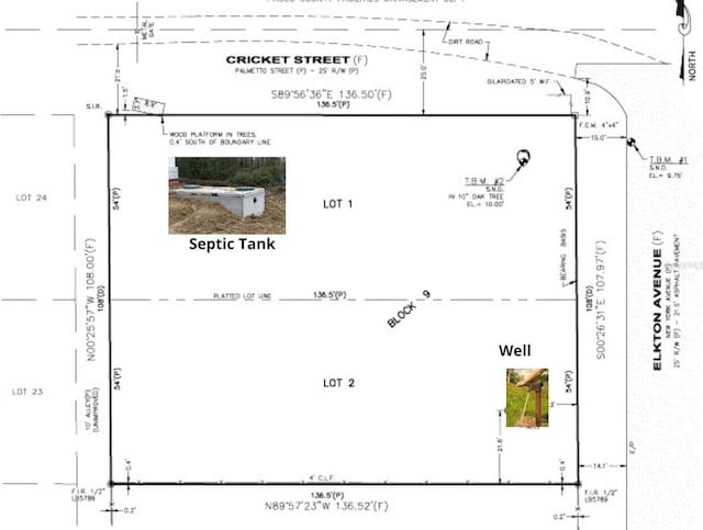 12219 Elkton Ave, Hudson, FL 34667 - photo 4