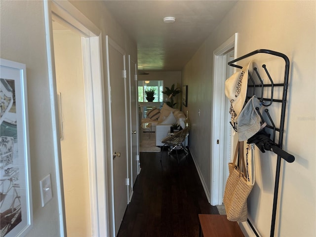 hall featuring dark hardwood / wood-style flooring