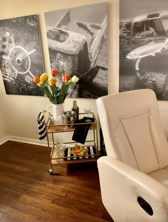 room details featuring hardwood / wood-style flooring