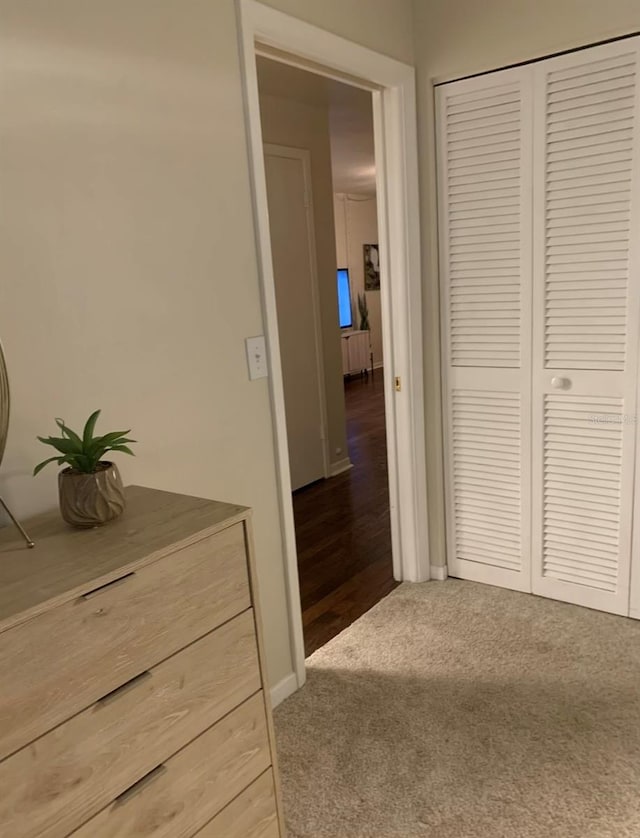 hallway with carpet floors