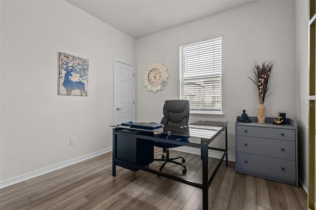 office area featuring hardwood / wood-style flooring