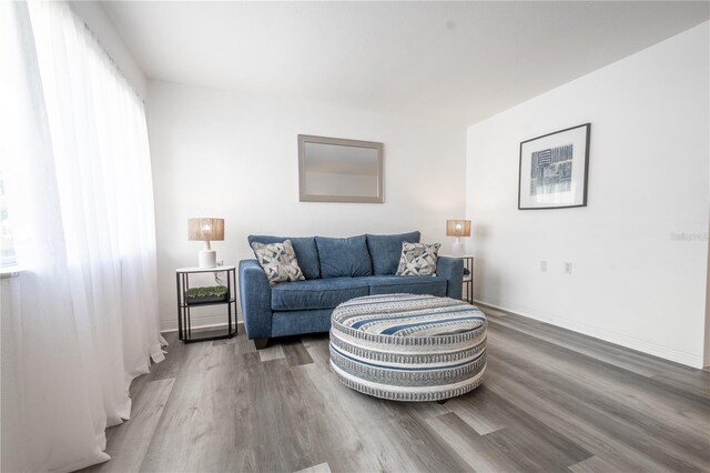 living room with hardwood / wood-style floors