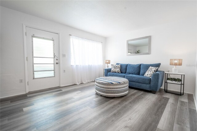 living room with hardwood / wood-style floors