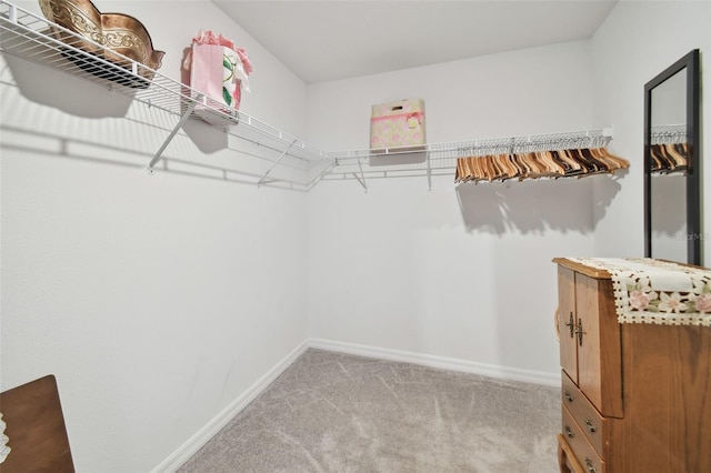 spacious closet with carpet