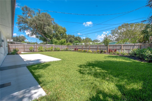 view of yard featuring a patio area