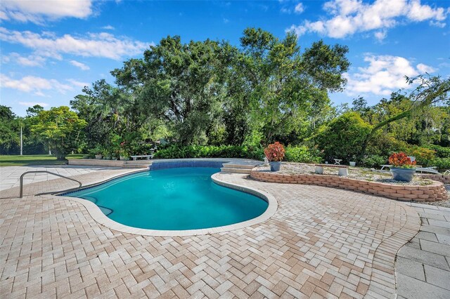 view of pool featuring a patio