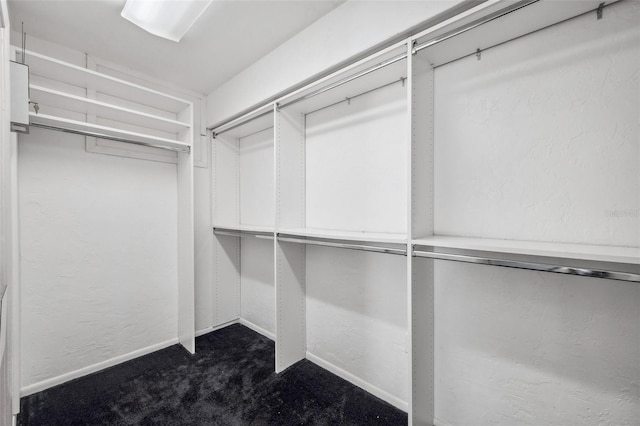 walk in closet with dark colored carpet