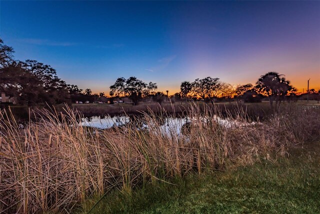 nature at dusk with a water view