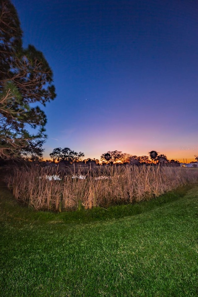 view of yard at dusk