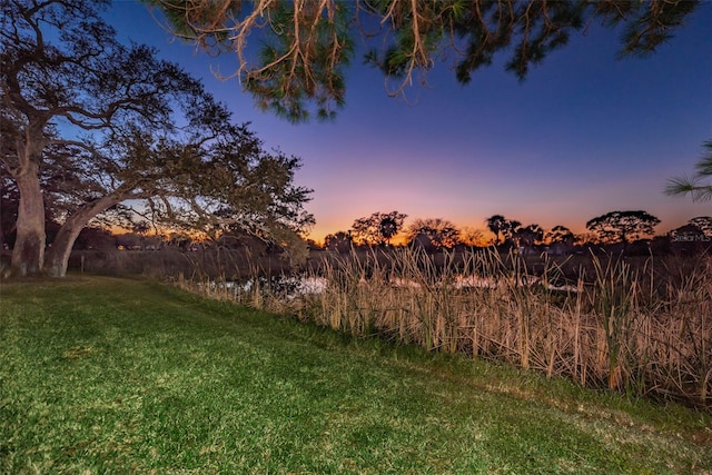 view of yard at dusk