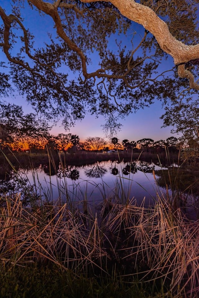 property view of water