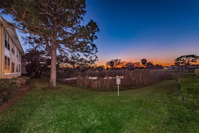 view of yard at dusk