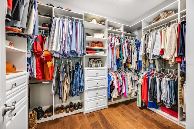 spacious closet featuring wood-type flooring