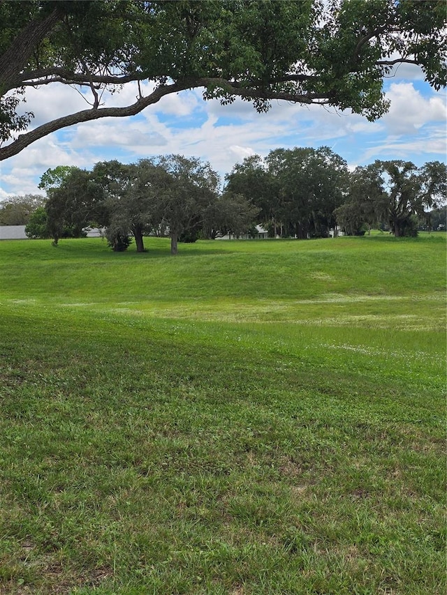 view of community with a lawn