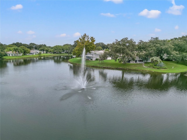 view of water feature