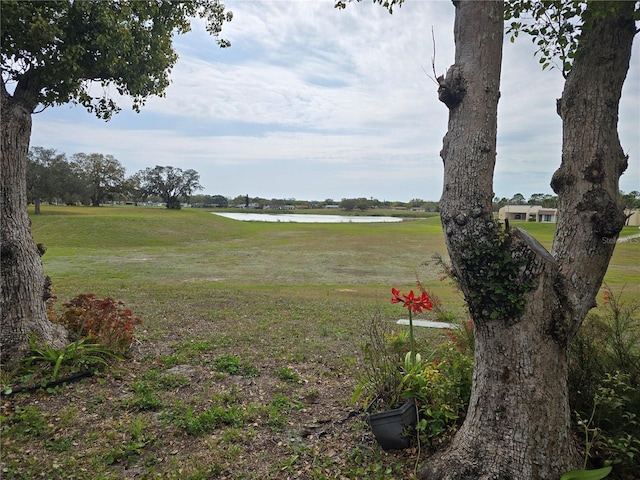 view of yard featuring a water view