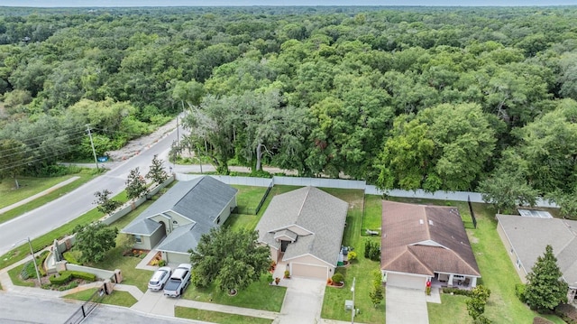 bird's eye view