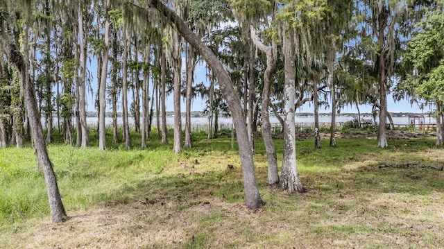 view of yard with a water view