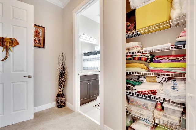 view of closet