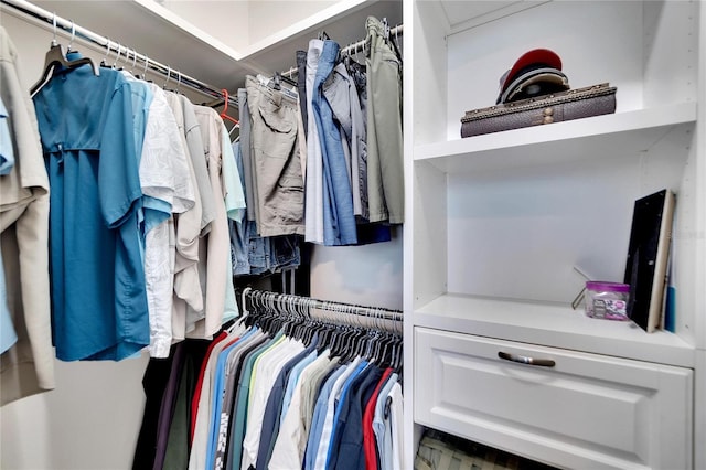 view of walk in closet